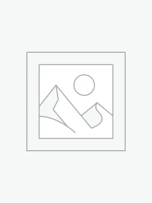 Chocolate Chip Shokupan