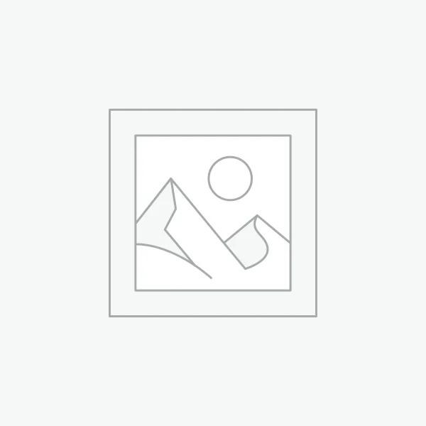 Chocolate Chip Shokupan